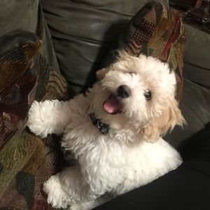 Meet your Posher, Kassandra